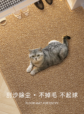 入户门地垫2024新款仿剑麻地毯入户门垫高级感门口地垫进门可裁剪