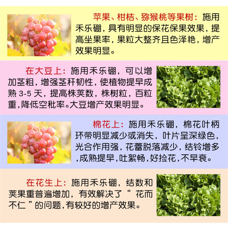 99%高纯硼肥速溶硼肥叶面肥微量元素农用保花保果促花芽分化水溶