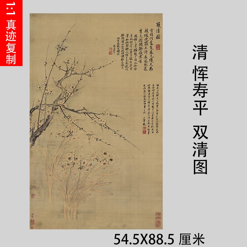 清 恽寿平双清图梅花兰花真迹竖幅名画复制品画稿微喷挂轴装裱