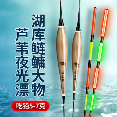 狼王眼芦苇鲢鳙大物日夜两用电子夜光浮漂加固野钓花白鲢高亮浮子