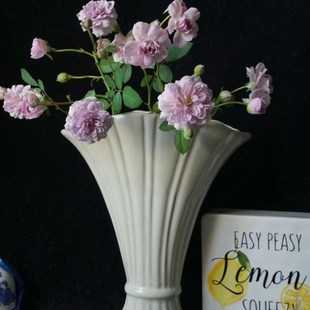 家居饰品花瓶23cm高温陶瓷艺术品可水培花卉鲜花康乃馨玫瑰法式