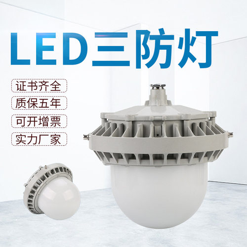 厂家灯50W70W100W仓库厂房灯应急平台灯防眩泛光灯 LED三防灯