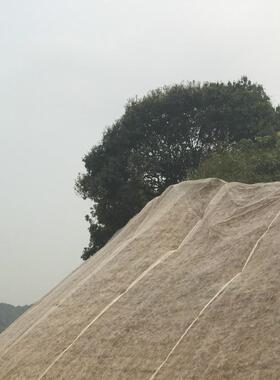 广州厂家直供草坪林绿WBO化无纺布，盖土防尘，路铁园路边坡公绿
