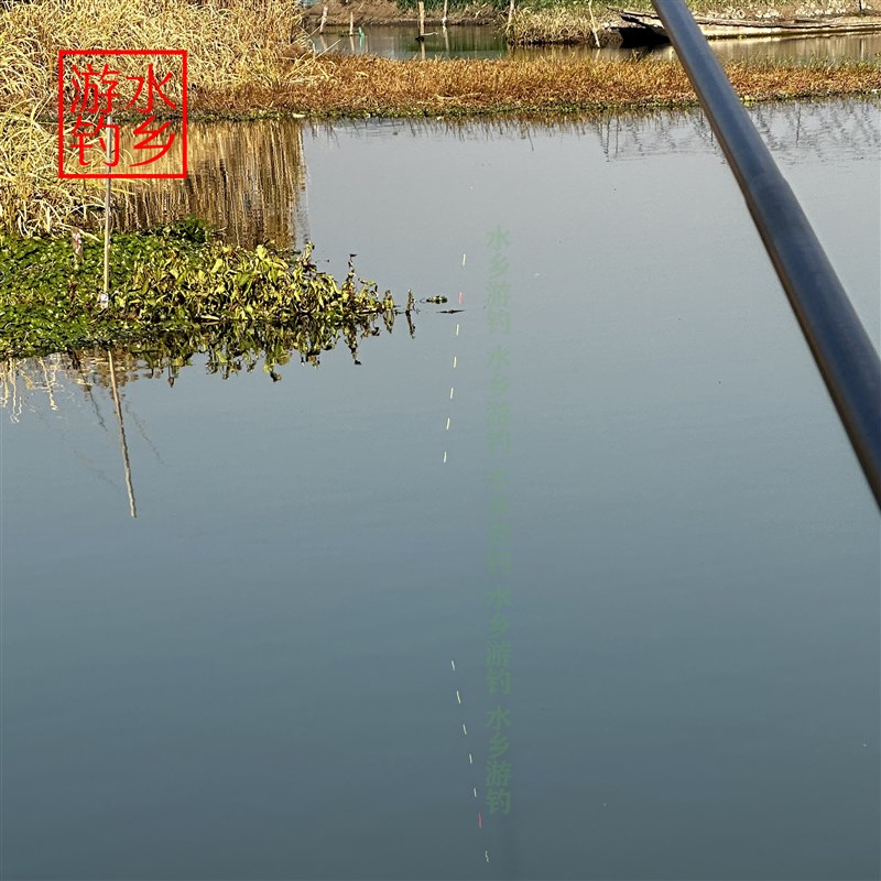 水乡游钓纯手工鹅毛浮子组3公分5黄1红钓鱼鱼线成品线组七星漂