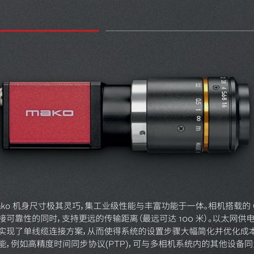 AVT  Bigeye G-1100B Cool  工业摄像机