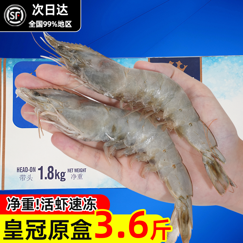 厄瓜多尔白虾大虾鲜活速冻2030特大单只水冻虾1.8kg南美白对虾类