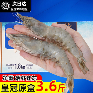 厄瓜多尔白虾大虾鲜活速冻2030特大单只水冻虾1.8kg南美白对虾类