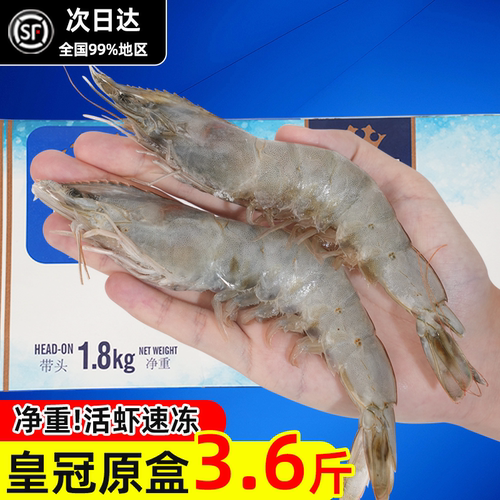 厄瓜多尔进口大虾2030鲜活速冻