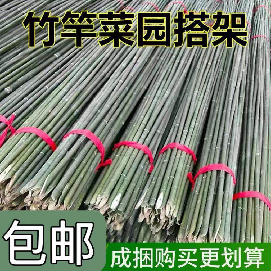 当季便宜竹竿菜园搭架竹子杆户外旗杆篱笆围栏竹竿架黄瓜爬藤菜园