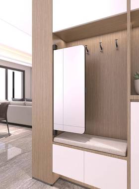 镜RQL衣柜装子内推拉衣橱平开门镜穿衣镜内置旋转隐藏折叠伸缩全