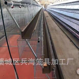 三层五门阶梯式型蛋鸡笼种规尺寸格A半自多QZB动化养殖设备厂家直