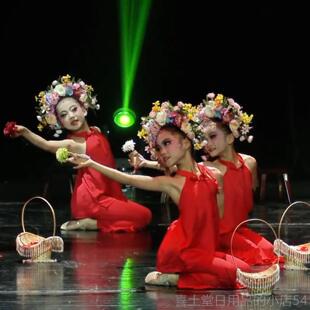 高档入梦舞花服儿童古典舞演蹈出服花篮舞蹈道具女童少儿群舞表簪