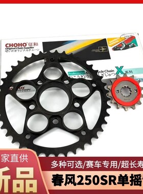 适用春风250SR单摇臂MY22摩托车大小轮牙盘链轮征和油封链条原厂