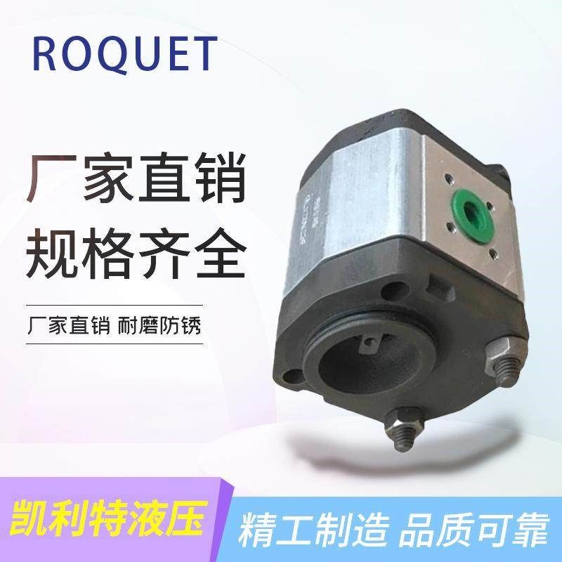 ROQUET齿轮泵1L12DE10B 1L27/35/40/12/6/9/16/18/22/24DE10B油泵,标准件/零部件/工业耗材,液压泵,淘宝优惠券,粉丝福利购,淘宝优惠卷