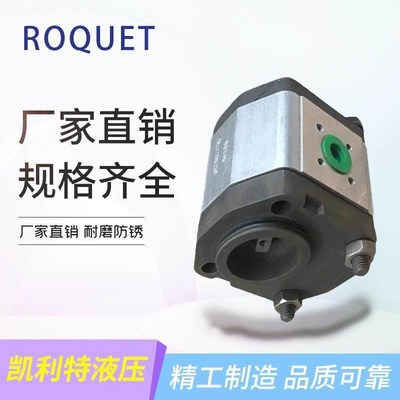ROQUET齿轮泵1L12DE10B 1L27/35/40/12/6/9/16/18/22/24DE10B油泵