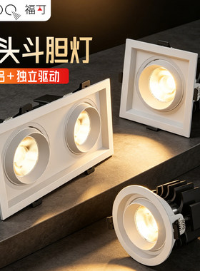 福可双头斗胆灯高亮防眩护眼筒灯