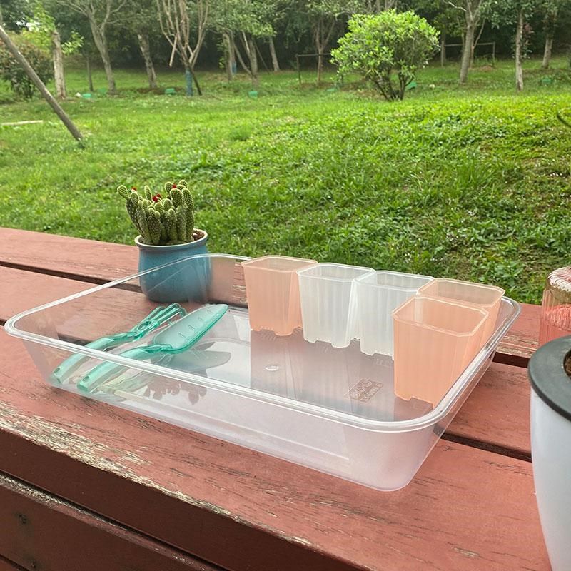 园艺长方形接水托盘花盆整理浸盆花卉植物多肉换盆换土收纳操作盘,鲜花速递/花卉仿真/绿植园艺,花托/移动托盘,淘宝优惠券,粉丝福利购,淘宝优惠卷