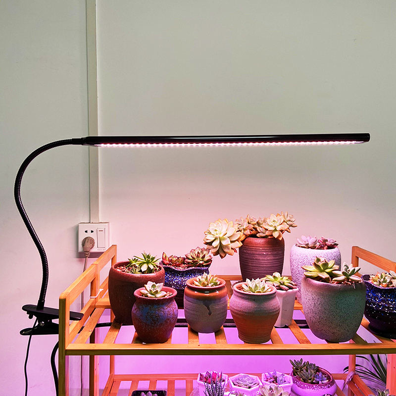 喜浪夹子全光谱植物灯生长补光灯多肉上色防徒仿太阳光智能盆栽灯