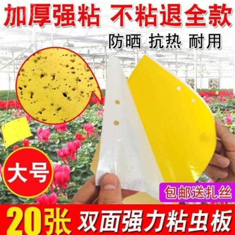 新款虫子蔬菜黄柑橘粘果蝇粘板蜜蜂白粉园林幼虫板沾虱蝇飞虫贴纸