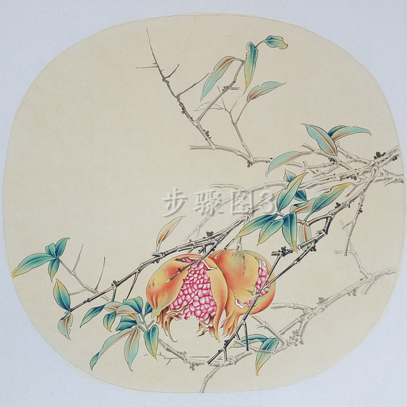 高清素材扇面石榴多子图工笔画白描底稿线稿实物打印稿花卉视频稿