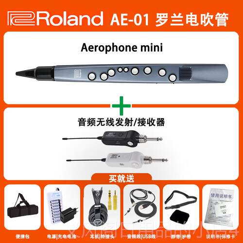 正品Rloan人罗兰电吹管电子萨d克斯AE-01C AE-05C老年初学管乐民