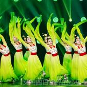 正品 儿童袖 水舞蹈服舞踏春古行典舞演出服女童中国风练功服夏汉唐