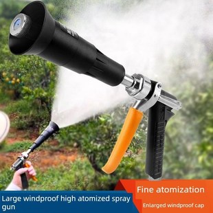 德国进口澳林喷枪打药机农用喷药水枪园林高压打药喷枪消毒果树大