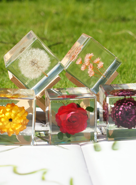 蒲公英标本立方体雏菊植物真花树脂摆件水晶滴胶成品永生花镇纸