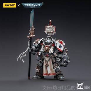 正品JOY手TOY暗源战锤黑暗天使狮王因原模体大导师可动兵人基型玩