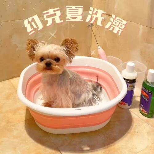约克夏专用洗澡盆宠物小狗狗可折叠马尔济斯浴盆泡澡桶小型犬用品
