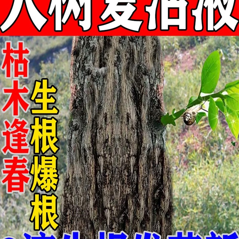 强力生根剂大小果树木移栽种植快速生根救树药水复活营养液壮苗剂