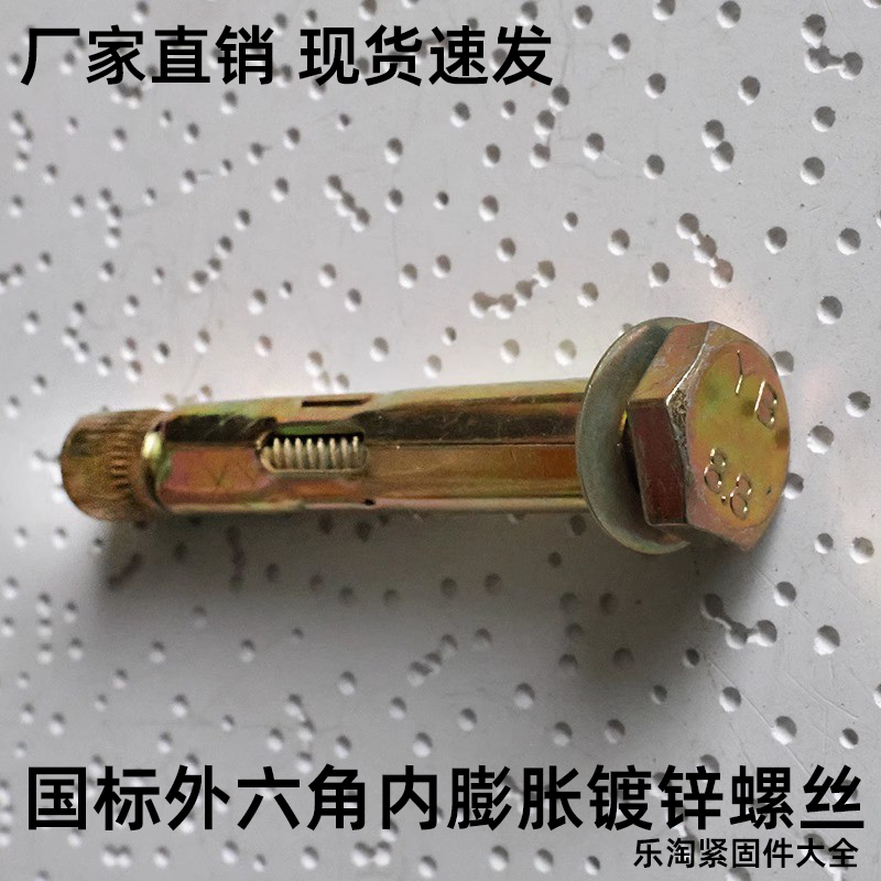 整盒国标外六角内膨胀镀锌螺栓螺丝钉壁虎加长拉爆管MM8M10M