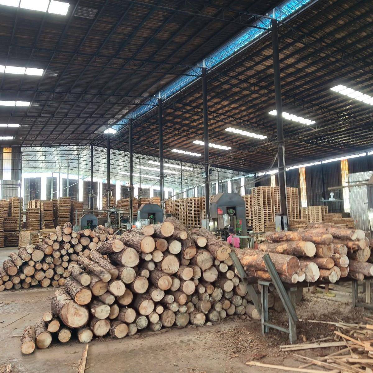 实木板材条桉木澳松松木云杉木方长条料熏蒸木材