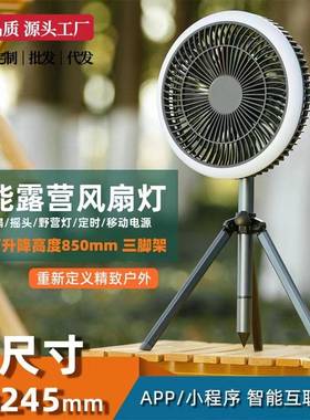 外露营三户脚架电扇灯多功超长续航智能遥控风摇能头带灯LEL便携