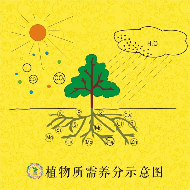 出口级誉中奥通用生物碳有机肥保水松土抗重茬适用大规模种植白包