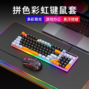 雷魁拼色彩虹背光有线键盘鼠标套装悬浮按键USB游戏办公家用98键