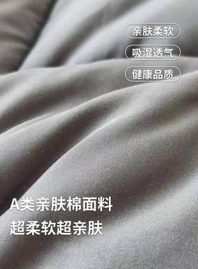 夏季酒店专加EX231002厚床用垫软垫用租房地家铺垫学生宿舍单人垫