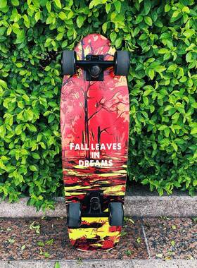 2舞7寸成儿童青少年街头板单翘QOC长板大鱼人板四轮刷街枫木滑板