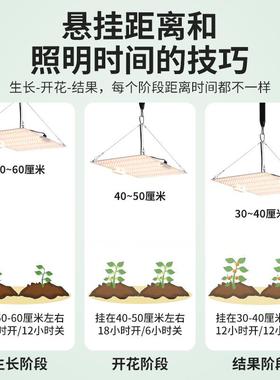 全亚马子逊光LED植物灯补谱光灯150W量板大棚多LND肉育苗生长灯绿