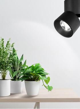 LD植物灯生长灯折叠灯明装吸顶灯植E室内植被补光LDD全光谱旋转物