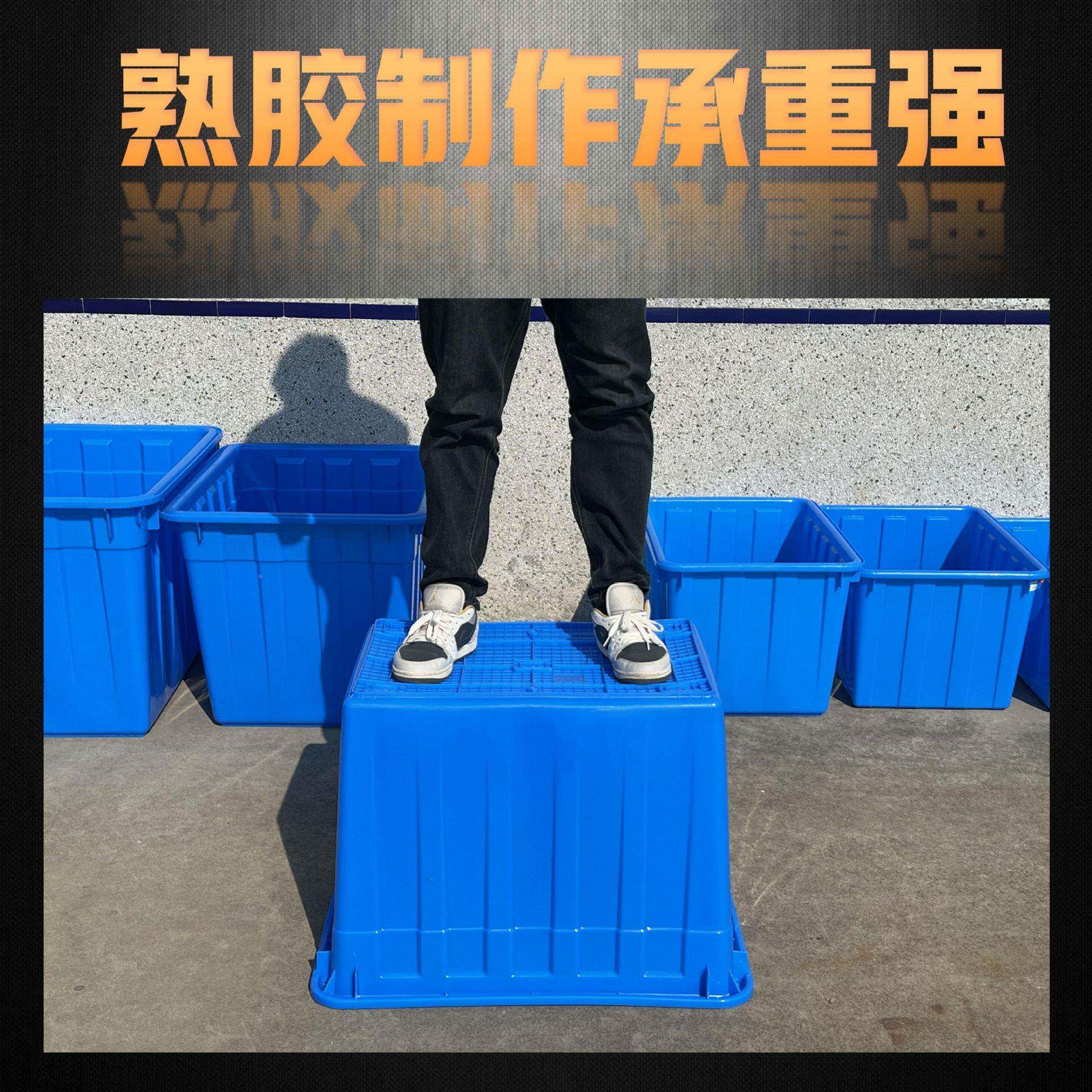 带盖排水加厚塑料水箱带子水产养箱殖带透箱气孔养龟74养鱼箱周转