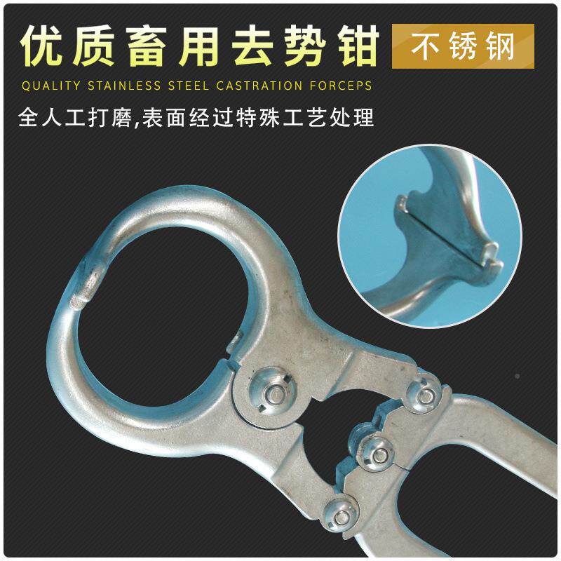 出煽口羊用趋势钳不锈钢无血去势牛羊去RLF势型钳阉器割钳猪阉割