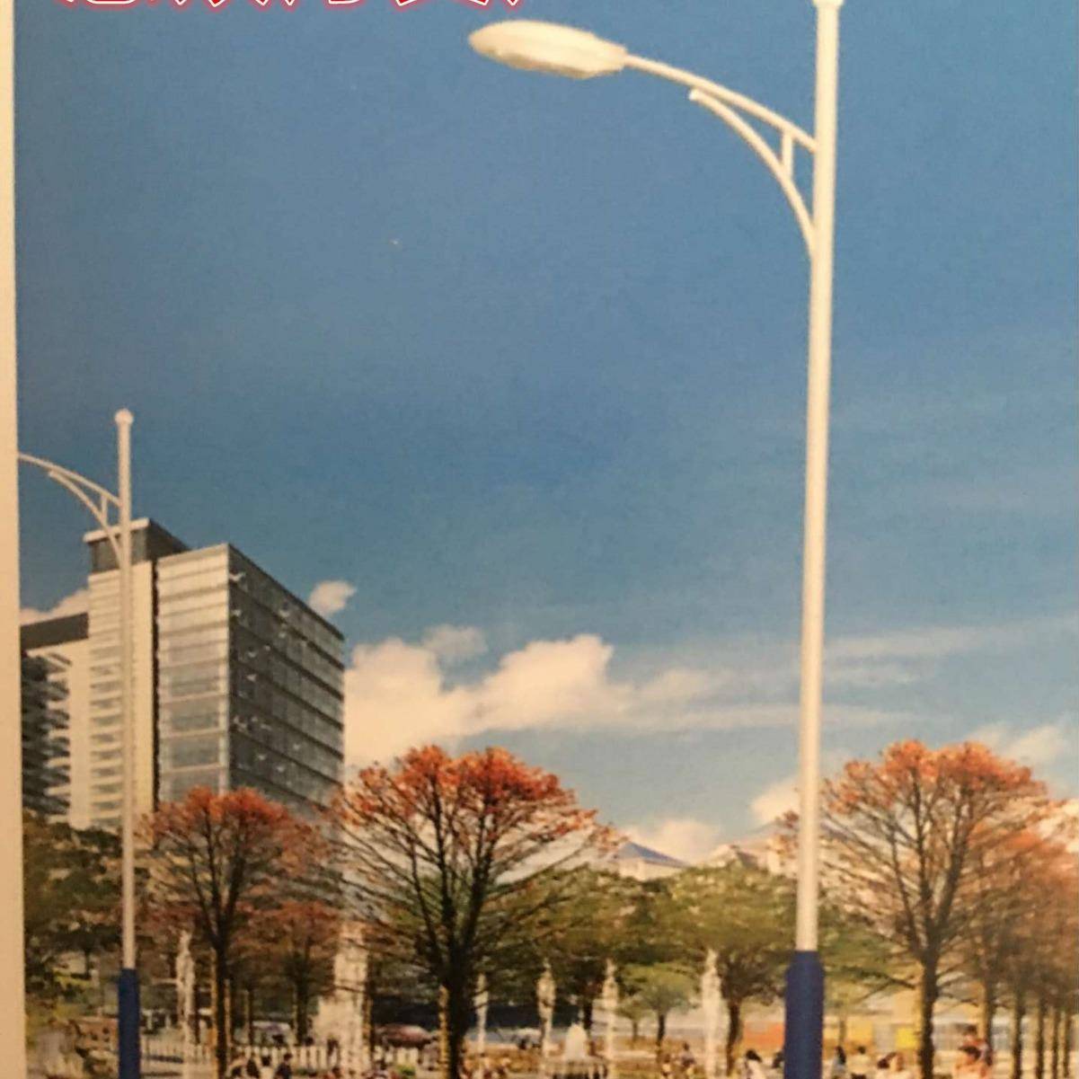 区LED道灯路4/5/6弯TRH米自臂路灯杆高杆灯厂户外路灯广场灯太阳