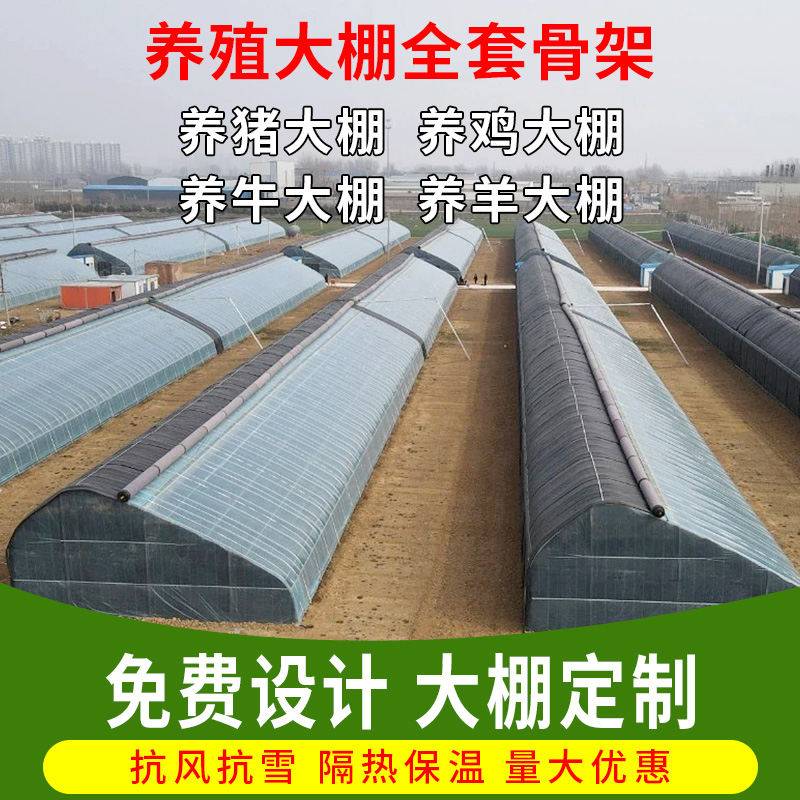 温室大棚钢管骨架热镀锌种植蔬菜养殖棚椭圆管连栋简易暖棚全