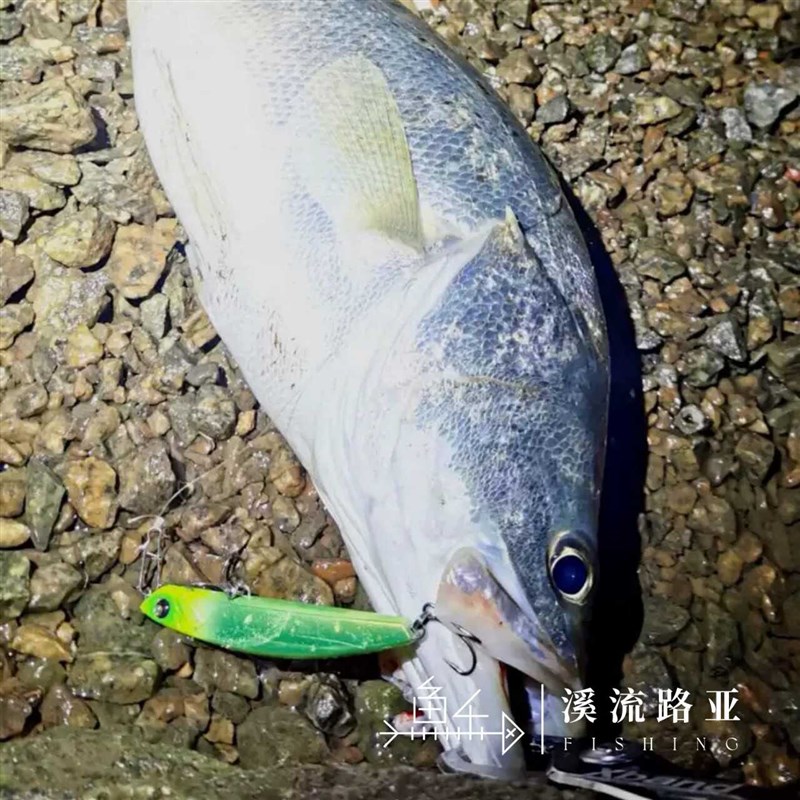 RILGUN Quver 88L/88HS 炮王2代沉水铅笔鲈鱼翘嘴鳡鱼路亚饵