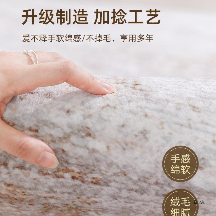 地毯客厅F5M8J5HT2025新款沙免洗可擦奢水防污轻室内防发卧室地垫