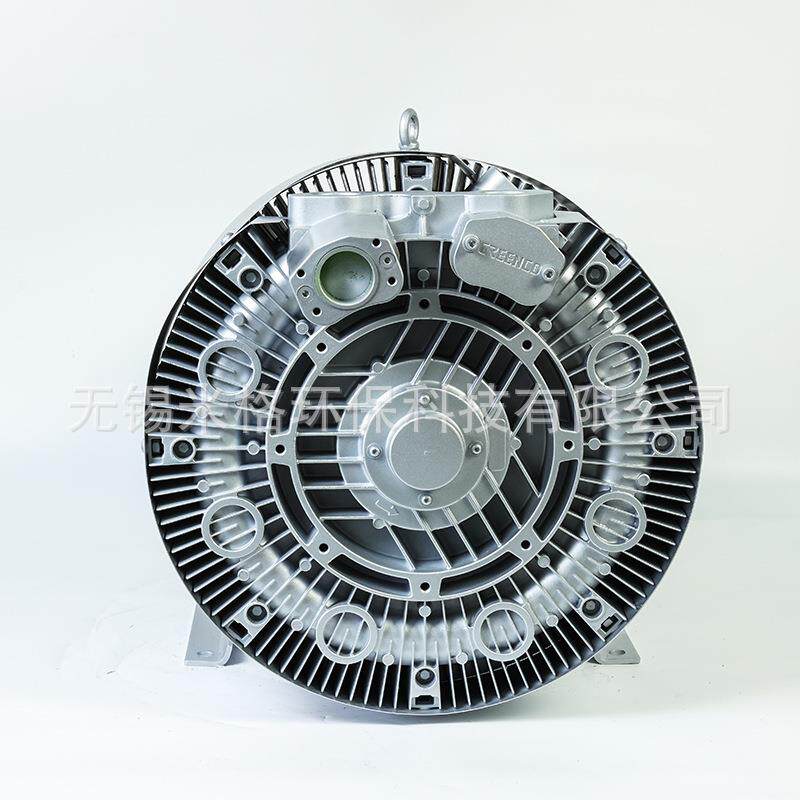 4RB气环W式空泵真75K高压力吸YGU吹气泵100.KPA压力风机