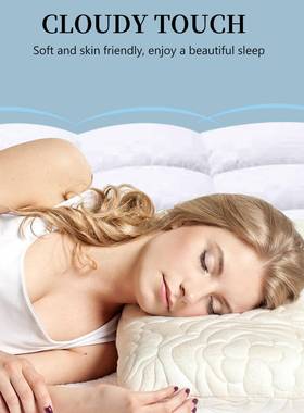 热销羽丝绒床床垫LUS优选纤褥维软床垫冬罩款宾馆民宿舒适笠式