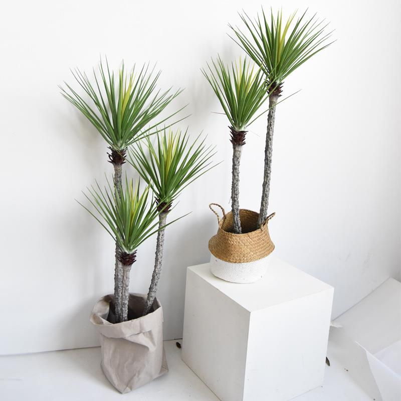 仿真植物兰盆栽万年凤人造龙花血铁梨树龙舌商城酒店juy12装饰小