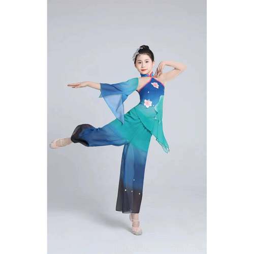 高档新款荷风采儿童古典舞服装演出服幼儿小服国舞羽化灵中蛇表演